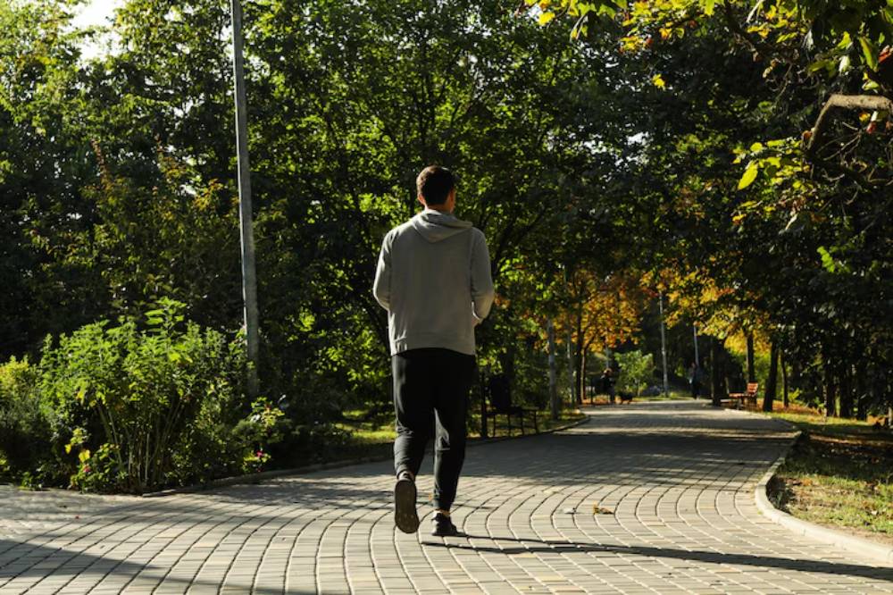A man walks along a winding path in a lush park, surrounded by greenery and autumn foliage. Sunlight filters through the trees.
